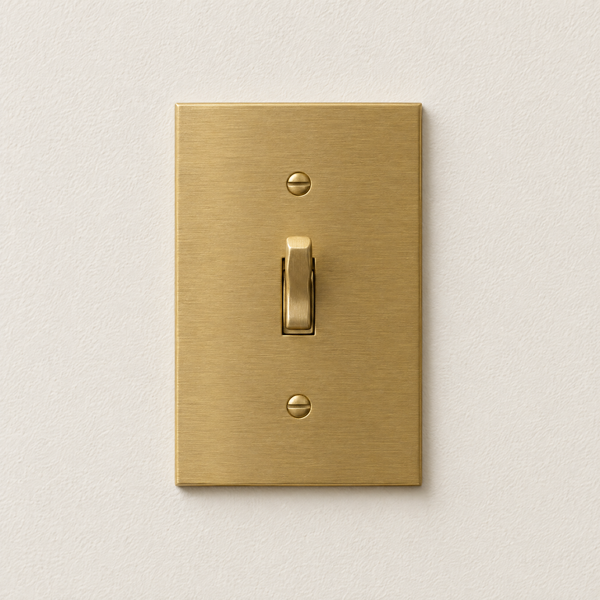 Unlacquered Brass toggle switch